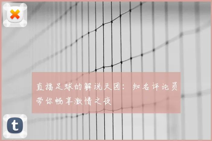 直播足球的解说天团：知名评论员带你畅享激情之夜