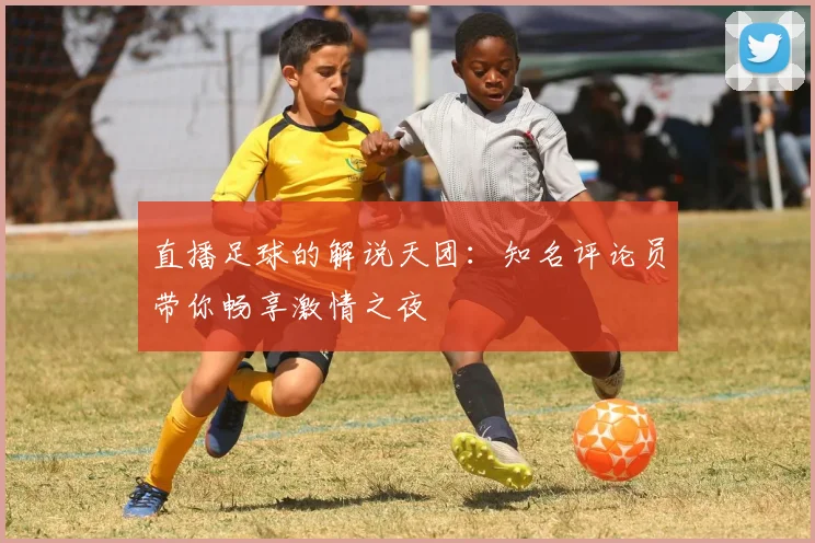直播足球的解说天团：知名评论员带你畅享激情之夜
